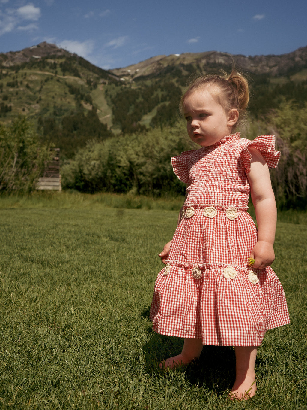 Little Lady Field Dress