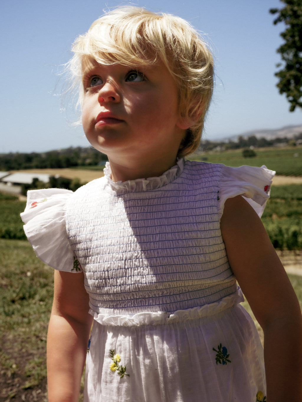 Little Lady Field Dress