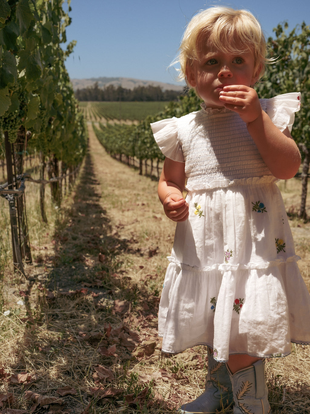 Little Lady Field Dress