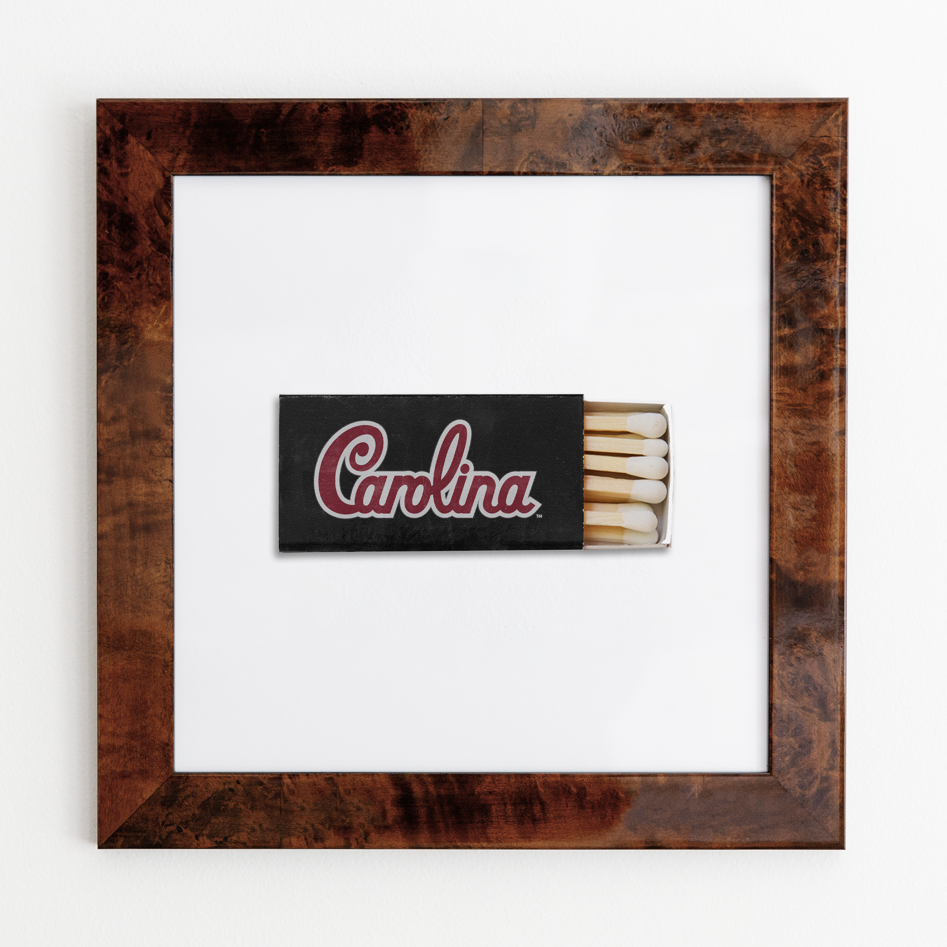 University of South Carolina Vol. 1