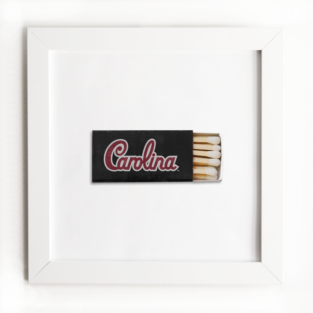 University of South Carolina Vol. 1