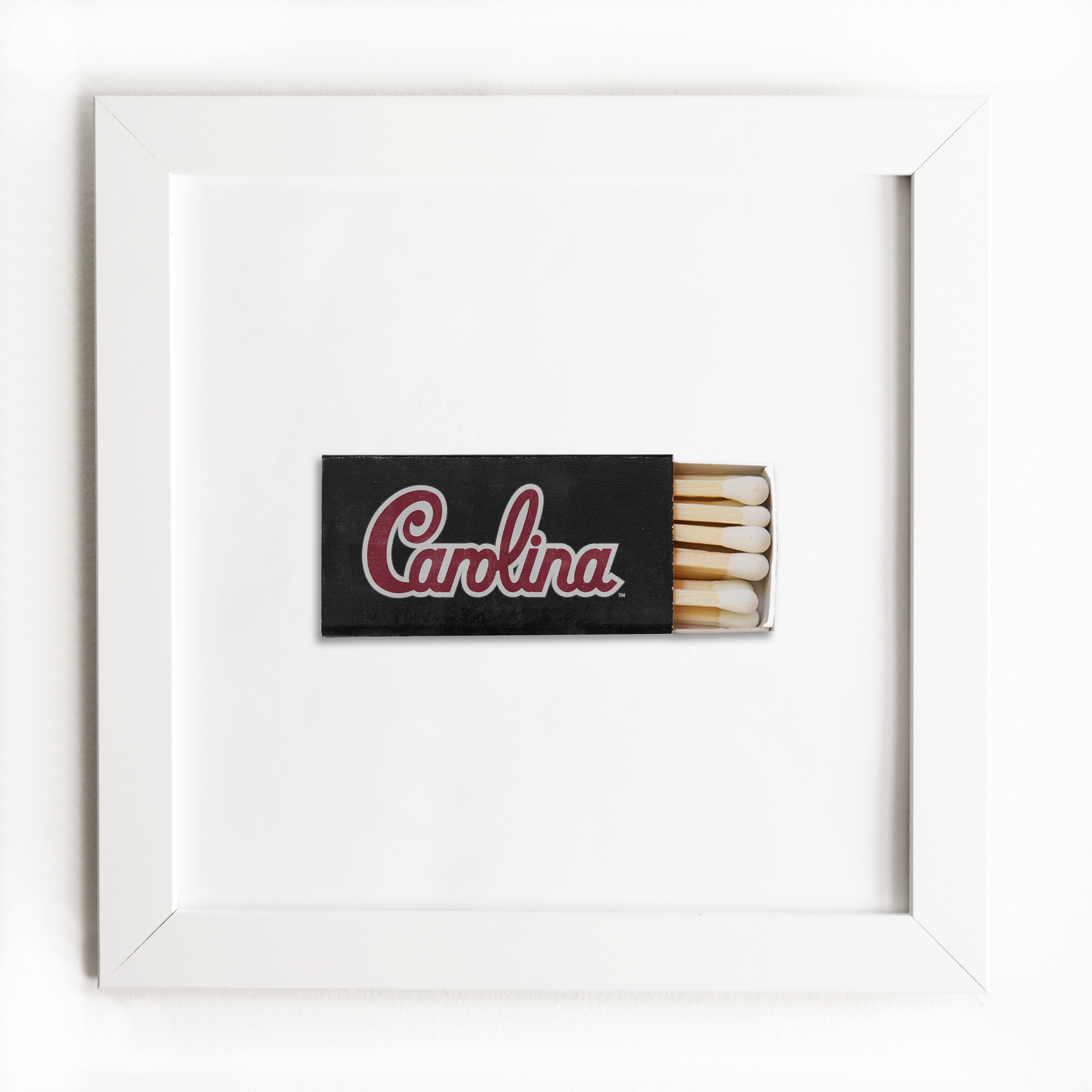 University of South Carolina Vol. 1